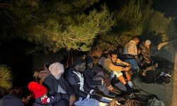 İzmir'de 16 kaçak göçmen yakalandı