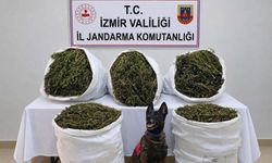 İzmir’de jandarmadan yasaklı madde operasyonu