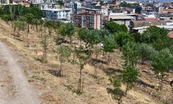 İzmir’de yeşil dönüşüm