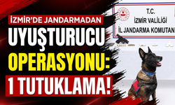 İzmir’de jandarmadan uyuşturucu operasyonu: 1 tutuklama!