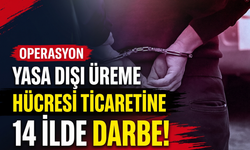 Yasa dışı üreme hücresi ticaretine 14 ilde darbe!