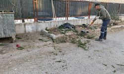 Menderes’te moloz alarmı! Belediye harekete geçti