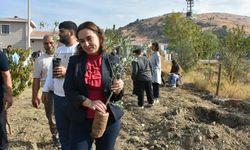 Menemen’de yürekleri ısıtan buluşma: Birlikte ürettiler, fidan diktiler!
