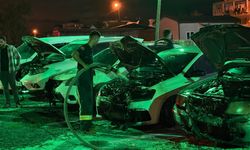 Oto galerideki 6 aracı ateşe verdi, ardından polise teslim oldu