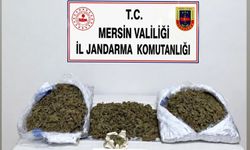 Mersin’de yasaklı operasyonu