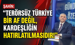 Şahin: 'Terörsüz Türkiye bir af değil, kardeşliğin hatırlatılmasıdır!'