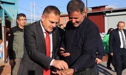 Vali Akbıyık, çam fıstığı üreticileriyle buluştu