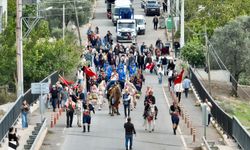 Orhanlı’da festival heyecanı: Erkence zeytini görücüye çıktı!