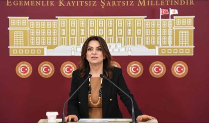 Son dakika! DEM Parti komisyonun adını duyurdu
