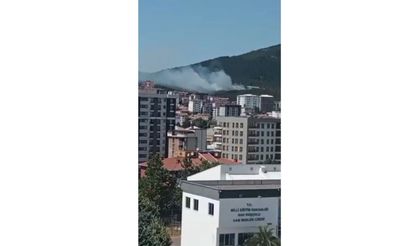 Son dakika! Bir ilde daha orman yangını!
