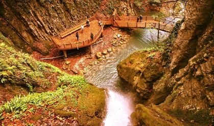 Sonbaharın en fotojenik noktası: Aktaş Şelalesi
