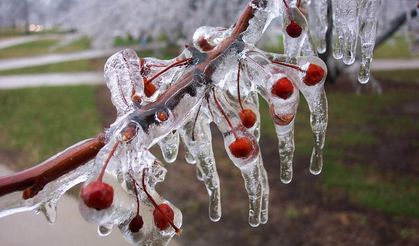 Bahar felaketi kapıda mı?