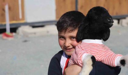 Annesi doğumda telef olan 'Boncuk' kuzu, elbisesi ve biberonuyla ilgi odağı oldu