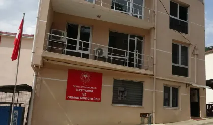 İlçe Tarım ve Orman Müdürlüğü'nde 600 milyonluk vurgun! Müdür sırra kadem bastı
