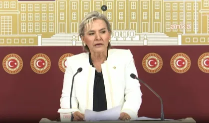 Nimet Özdemir, CHP'den istifa etti