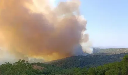 Balıkesir'de orman yangını