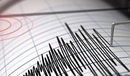Tokyo’yu Sallayan Deprem: 2 Yaralı