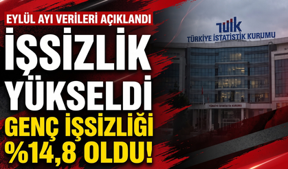 Eylül ayında işsizlik yükseldi, genç işsizliği yüzde 14,8 oldu!