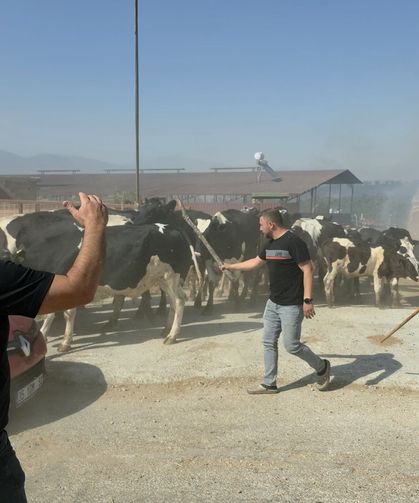 Tire'de yangın paniği: Alevler köye ulaştı