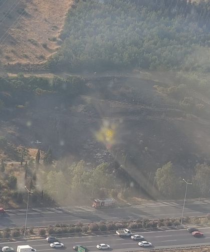 İzmir'de çevre yolunda çıkan tır yangını ormana sıçradı!