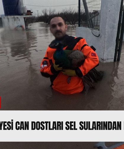 İzmir İtfaiyesi can dostları sel sularından botlarla kurtardı!