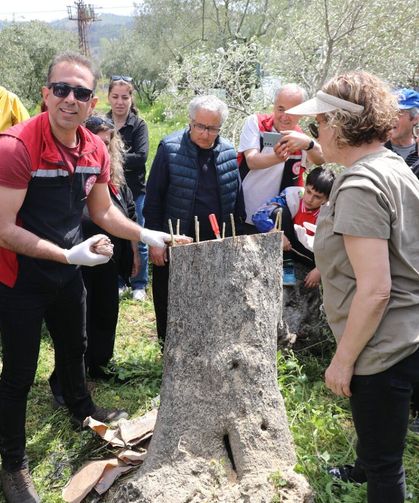 Seferihisar’da zeytin üreticilerine uygulamalı eğitim