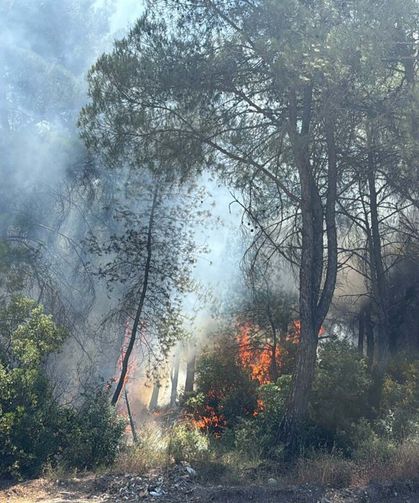 İzmir'deki iki orman yangınının çıkış nedeni belli oldu: 2 şüpheliye işlem!