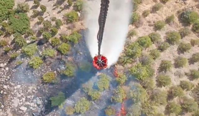 Bergama’daki orman yangını kontrol altında 