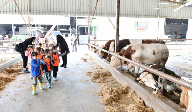 Çiğli’de çocuklar için doğa ve hayvanlarla dolu renkli gün