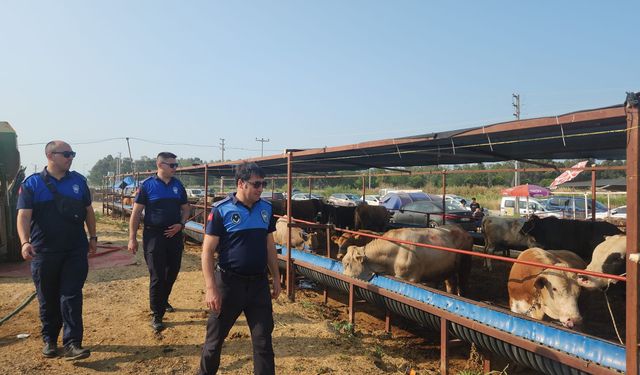 Çiğli'de kapsamlı denetim