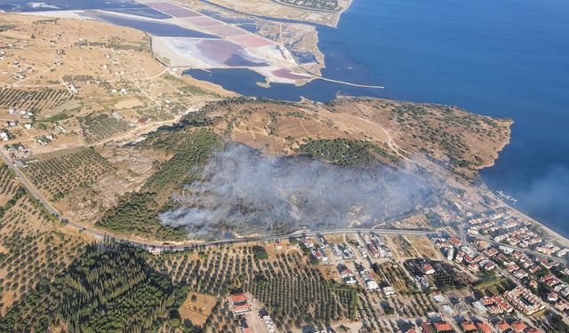 Dikili'de korkutan yangın: Müdahale devam ediyor