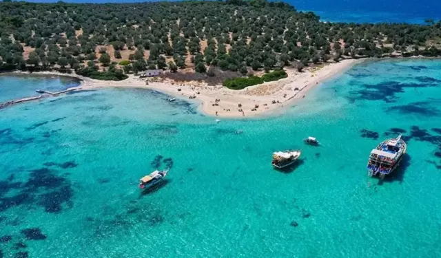  Dikili’de şölen havası