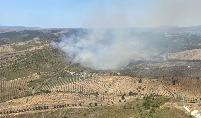 İzmir Seferihisar'da yangın: Ekipler müdahale ediyor