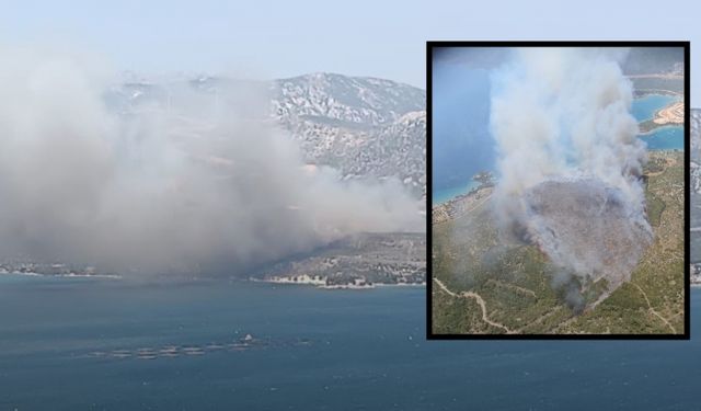 Karaburun’da orman yangını: Havadan ve karadan müdahale devam ediyor
