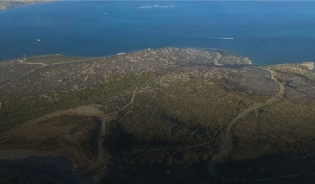 Kızılay'dan Karaburun'da 185 milyon TL'lik zeytinlik satışı