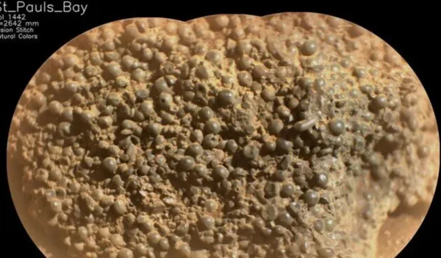 Mars’ta örümcek yumurtasına benzeyen taş bulundu!