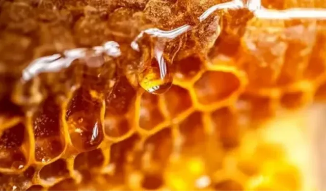 Rüyada petek bal görmek ne anlama geliyor?