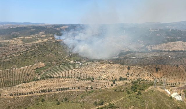 Seferihisar'da orman yangını! Müdahale sürüyor