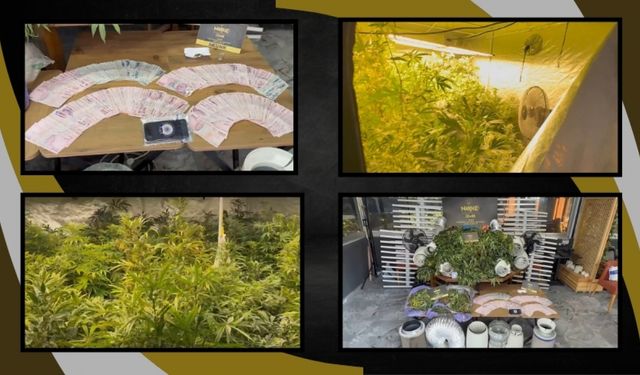 Seferihisar'da uyuşturucu villasına baskın: Odalar tarlaya dönüştürülmüş!