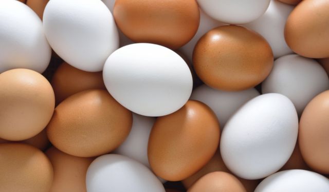 Bu yumurtaları sakın yemeyin! Salmonella riski yüksek
