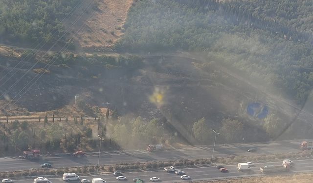 İzmir'de çevre yolunda çıkan tır yangını ormana sıçradı!