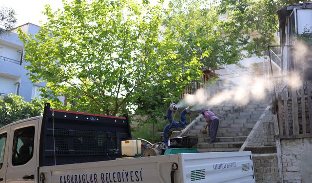 Karabağlar'da yazlık temizlik harekatı