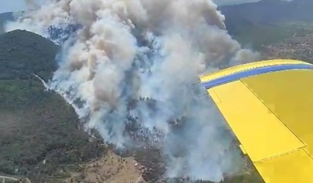 Menderes ve Seferihisar arasındaki ormanlık alanda yangın!