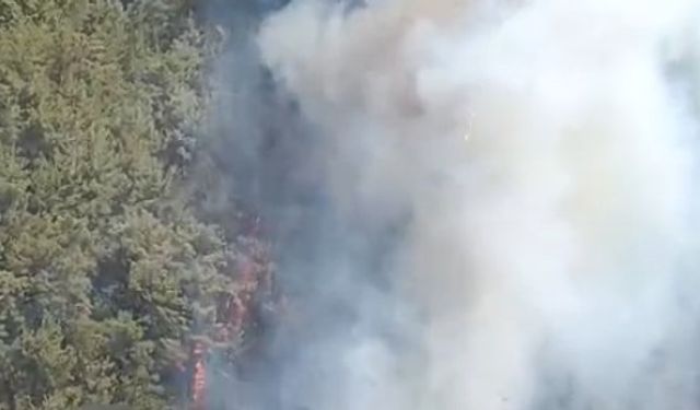 İzmir Menderes - Seferihisar yangınına takviye artıyor: Uçak sayısı 18'e çıkarıldı