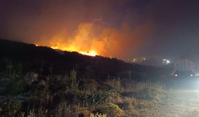 Menemen'de yangın paniği! Müdahale sürüyor