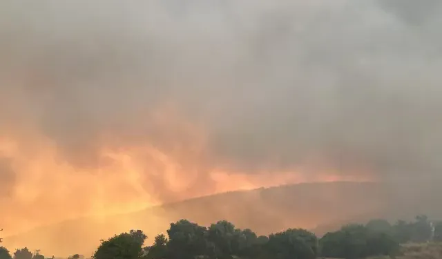 Seferihisar alev alev! Mahalle boşaltıldı