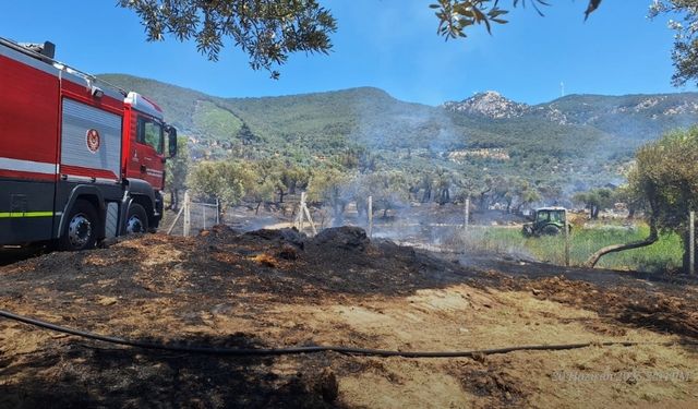 Torbalı, Kınık ve Menderes’te yangın alarmı: İzmir'deki yangınlarda son durum