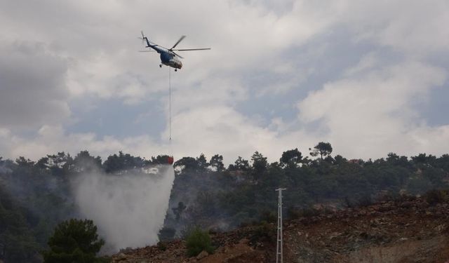 Flaş haber! Bir ilde daha orman yangını çıktı