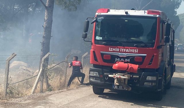 Bergama’da orman yangını alarmı: Müdahale sürüyor