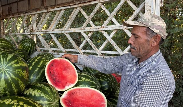 Çiftçinin gözü yaşlı: Böyle giderse tarlalar boş kalacak!